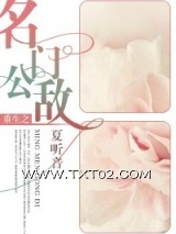 《重生之名门公敌》全本TXT下载-作者：夏听音