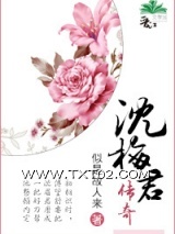 《沈梅君传奇》全本TXT下载-作者：似是故人来