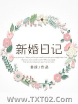 《新婚日记》全本TXT下载-作者：非拆