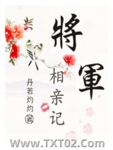 《将军相亲记》全本TXT下载-作者：丹若灼灼