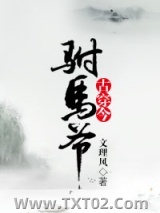 《古穿今之驸马爷》全本TXT下载-作者：文理风