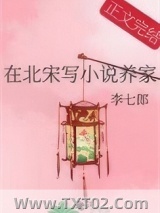 《在北宋写小说养家》全本TXT下载-作者：李七郎