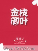 《金枝御叶》全本TXT下载-作者：笑佳人
