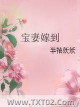 《宝妻嫁到》全本TXT下载-作者：半袖妖妖