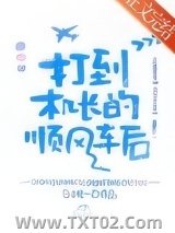 《打到机长的顺风车后》全本TXT下载-作者：白桃一