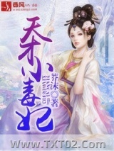 《天才小毒妃》全本TXT下载-作者：芥沫
