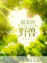 《温柔的野兽》全本TXT下载-作者：风荷游月