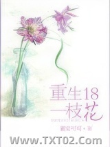《重生十八一枝花》全本TXT下载-作者：董安可可
