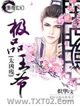 《极品王爷太凶残》全本TXT下载-作者：炽华