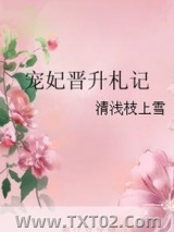 宠妃晋升札记