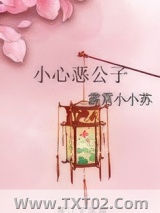 《小心恶公子》全本TXT下载-作者：霹雳小小苏