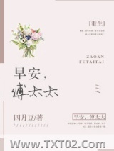 早安，傅太太[重生]图片