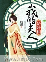 我的夫人是奸相图片