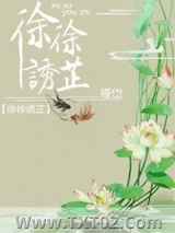 《徐徐诱芷》全本TXT下载-作者：槿岱