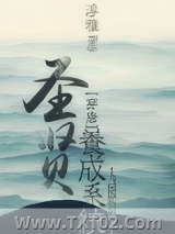《圣贤养成系统（唐朝）》全本TXT下载-作者：淳雅