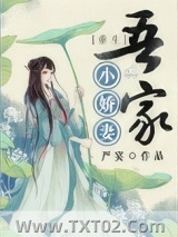 《吾家小娇妻》全本TXT下载-作者：严宴