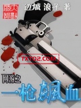 《网游之一枪飙血》全本TXT下载-作者：边城 浪子