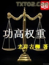 《功高权重》全本TXT下载-作者：老井古柳