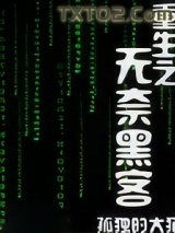 重生之无奈黑客图片