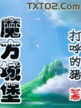 《魔方城堡》全本TXT下载-作者：打呼的猪