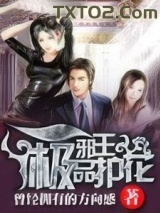 《极品护花邪王》全本TXT下载-作者：曾经拥有的方向感