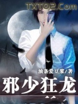《邪少狂龙》全本TXT下载-作者：油条爱豆浆