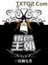 《银色王朝》全本TXT下载-作者：红焖七月