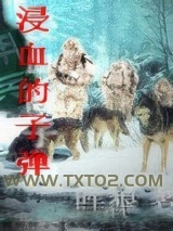 《浸血的子弹》全本TXT下载-作者：晖狼