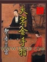《大宋金手指》全本TXT下载-作者：圣者晨雷