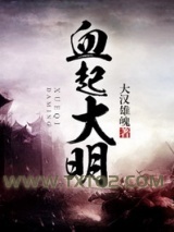 《血起大明》全本TXT下载-作者：大汉雄魂