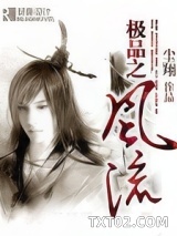 《极品之风流》全本TXT下载-作者：尘翔