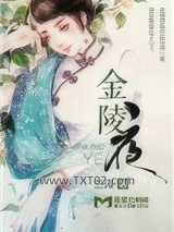 《金陵夜》全本TXT下载-作者：兰泽