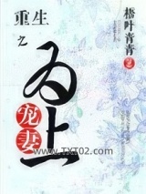《重生之宠妻为上》全本TXT下载-作者：梧叶青青