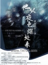 《他从夜色深处来》全本TXT下载-作者：夜雨秋灯