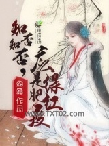 《知否知否，应是绿肥红瘦》全本TXT下载-作者：淼淼