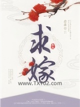 《求嫁》全本TXT下载-作者：药渣