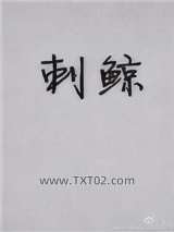 《刺鲸》全本TXT下载-作者：蟹总