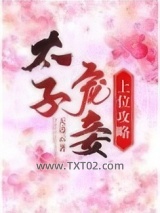 太子宠妾上位攻略图片