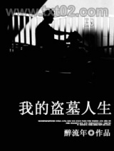 我的盗墓人生图片