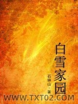 《白雪家园》全本TXT下载-作者：石钟山