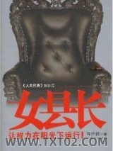 《女县长》全本TXT下载-作者：许开祯.