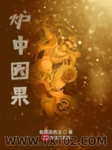 《炉中因果》全本TXT下载-作者：蜘蛛路西法