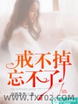 《戒不掉，忘不了》全本TXT下载-作者：南巷茶茶