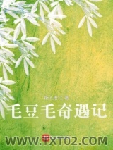 毛豆毛奇遇记图片