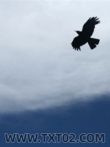 我们的自由年代图片