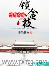 《雪落高墙锁金枝》全本TXT下载-作者：非墨非攻