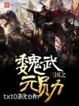 《三国之魏武元勋》全本TXT下载-作者：高泽