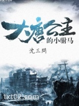 《大唐公主的小驸马》全本TXT下载-作者：沈三问