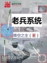 《老兵系统》全本TXT下载-作者：青空之主