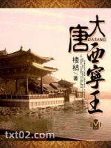 大唐西宁王图片